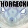 Thorgecko707