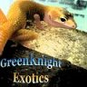 GreenKnight Exotics