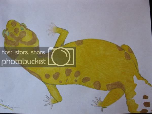 leopardgeckopic-1.jpg