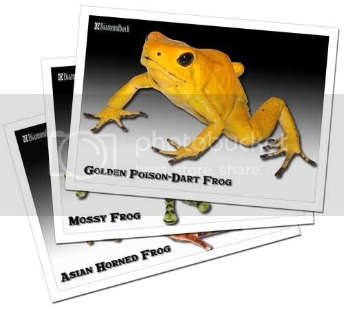 frogstoads-3cards-pile.jpg