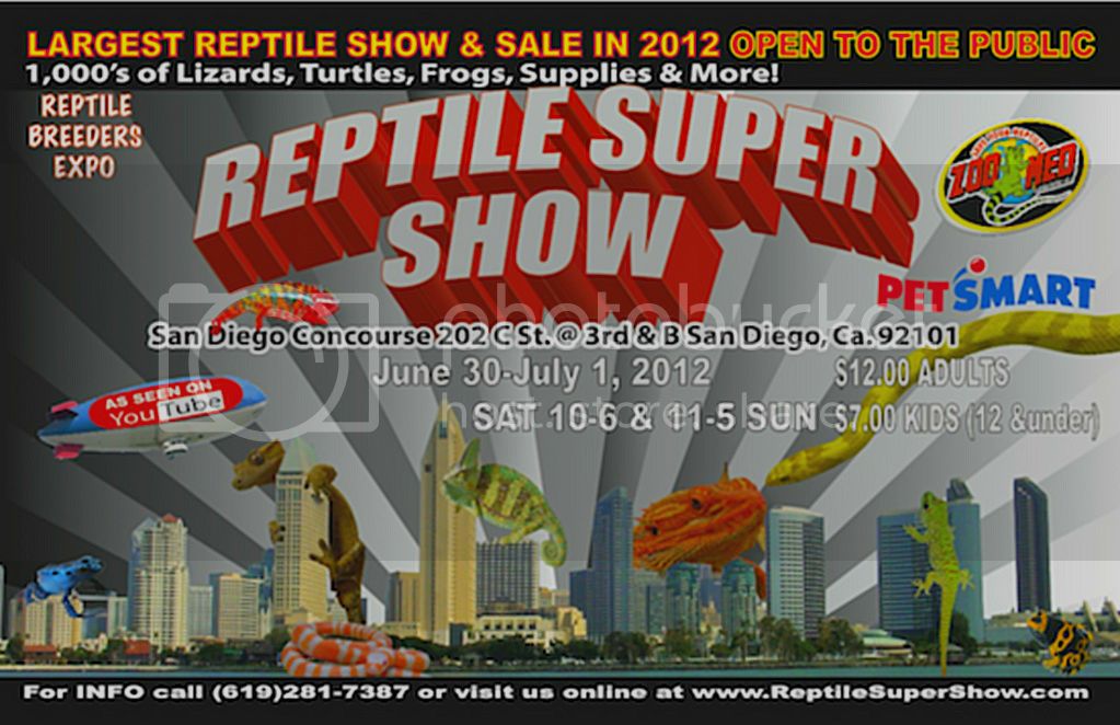 reptile_show_mainimage-2-1.jpg