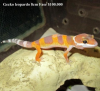 image-2861954130.png