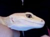 eyess.jpg