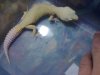照片0017.jpg