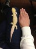 IMG_1149low-res.jpg