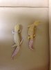 IMG_1156lowres.jpg