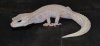 DSC_0941new.jpg