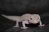 DSC_0944FORUM.jpg
