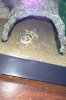 photo 2.jpeg