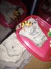 photo 1.jpeg