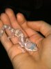 photo (13).JPG