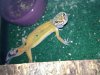 IMG_0223.jpeg