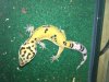 IMG_0224.jpeg