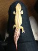 IMG_1287lowres.jpg
