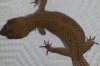 20130206_135432.jpg 20130206_135432.jpg