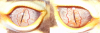 Eyes.2.png