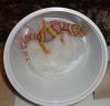 DSC01467SM.jpg