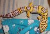 DSC01667SM.jpg