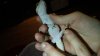 rsz_dsc00516.jpg rsz_dsc00516.jpg