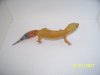 pics 011.JPG