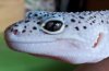 20130222_172435.jpg