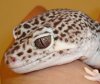 DSC02456.JPG
