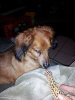 20130305_2209011.jpg