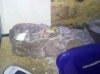 Sparks In His Favorite Hangout.jpg