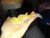 IMG_20130227_150639.jpg