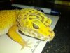 IMG_20130326_123016.jpg