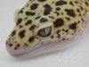 DSCN1241_zps64225ab2.jpg