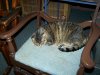 100_1483.JPG