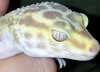 Snow tremper eye.jpg