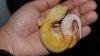 DSCN5165.jpg DSCN5165.jpg