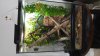 20160324_145411.jpg