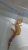 IMG-20160427-WA0136.jpg