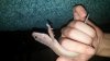 20160701_115303.jpg