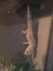 IMG-20190818-WA0010.jpg