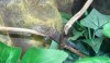 compcrop102_0135.jpg