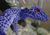 Gecko Dragon.png