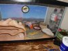 geckos 006.JPG