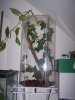 000_0378 web.jpg 000_0378 web.jpg