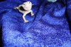 DSC02101.JPG