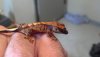 2012-06-09_08-19-11_748.jpg