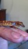 2012-06-14_10-08-53_195.jpg