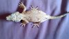 2012-07-03_09-45-02_745.jpg