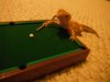 Pool3.jpg