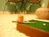Pool6.jpg