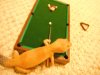 Pool10.jpg
