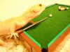 Pool11.jpg